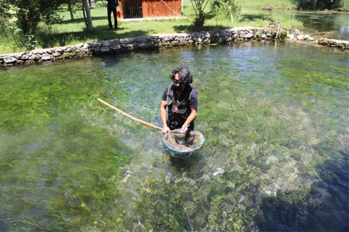 Sızıl Beldesi\'nde foto safari