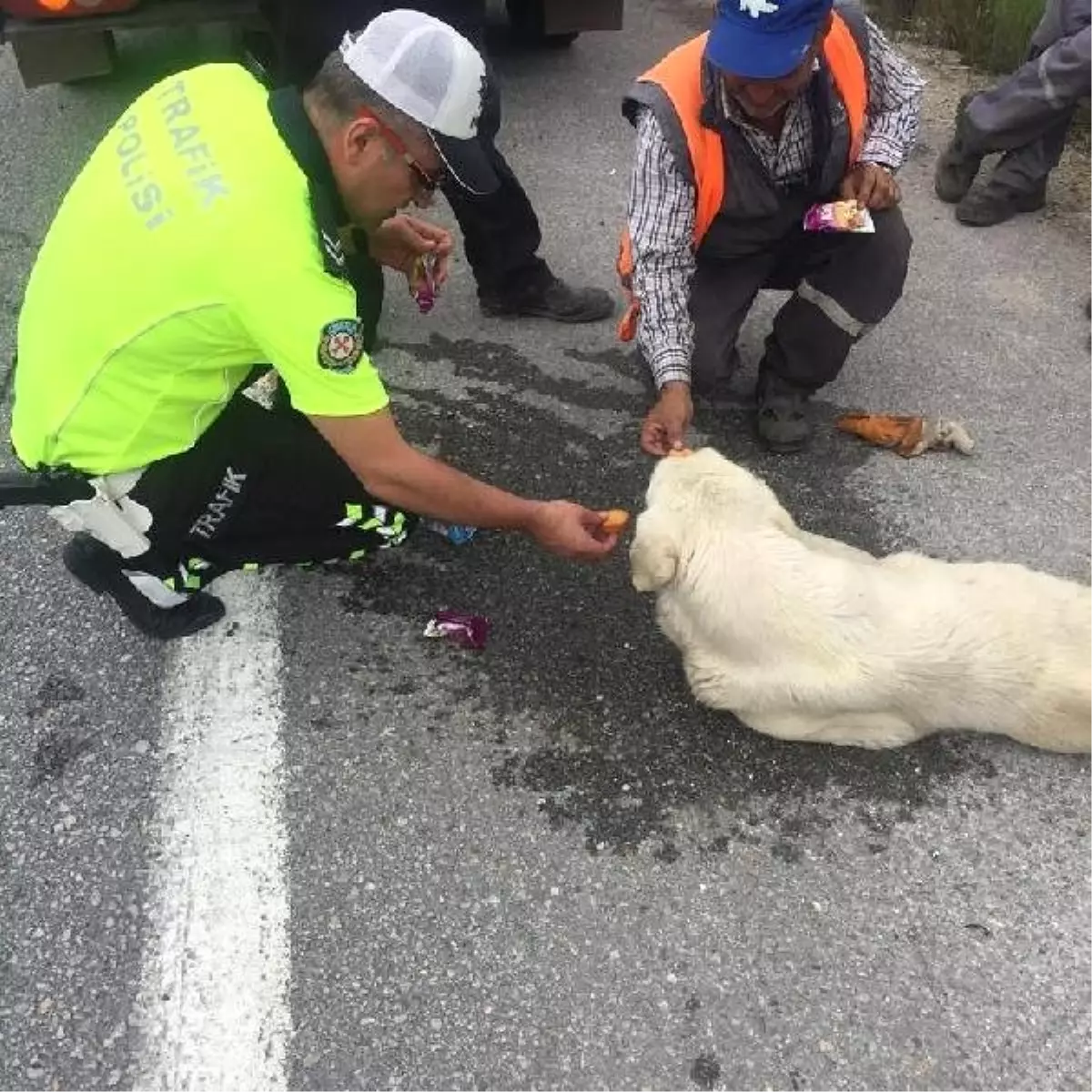 Bitkin düşen köpeğe polis şefkati