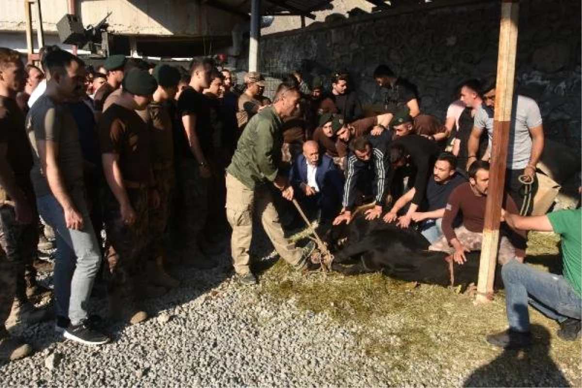 Hakkari\'de şehitler için kurban kesildi