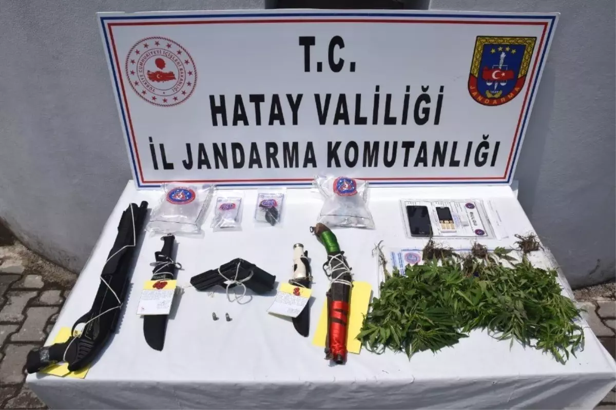 Hatay\'da uyuşturucu operasyonu: 13 gözaltı