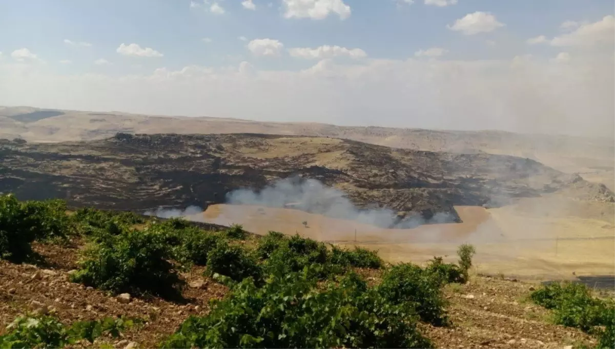 Mardin\'de bin dönümlük ağaçlık alan kül oldu