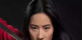 Mulan Filmi