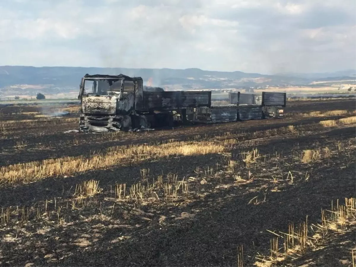 Sigara izmariti, tarlayı ve kamyonu kül etti