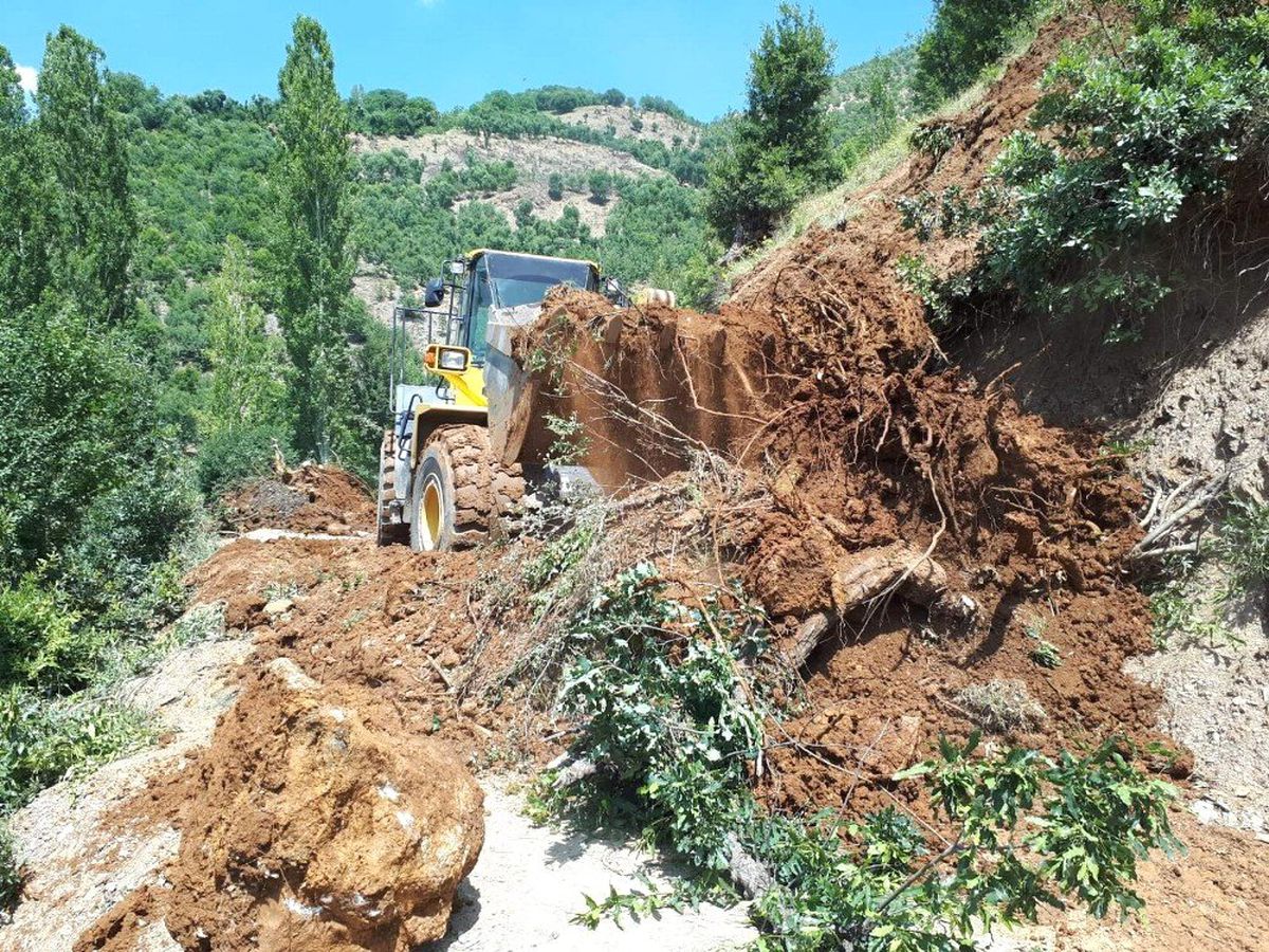 Siirt\'te ağaçların devrilmesi sonucu yol ulaşıma kapandı