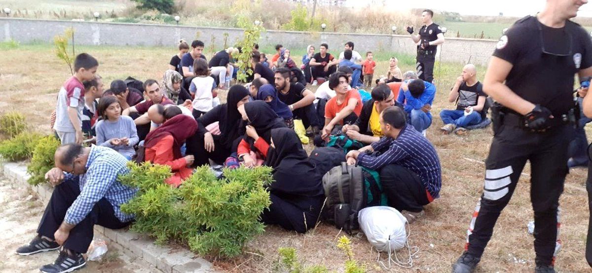 Şoför kaçtı 66\'sı doğada bu halde bulundu