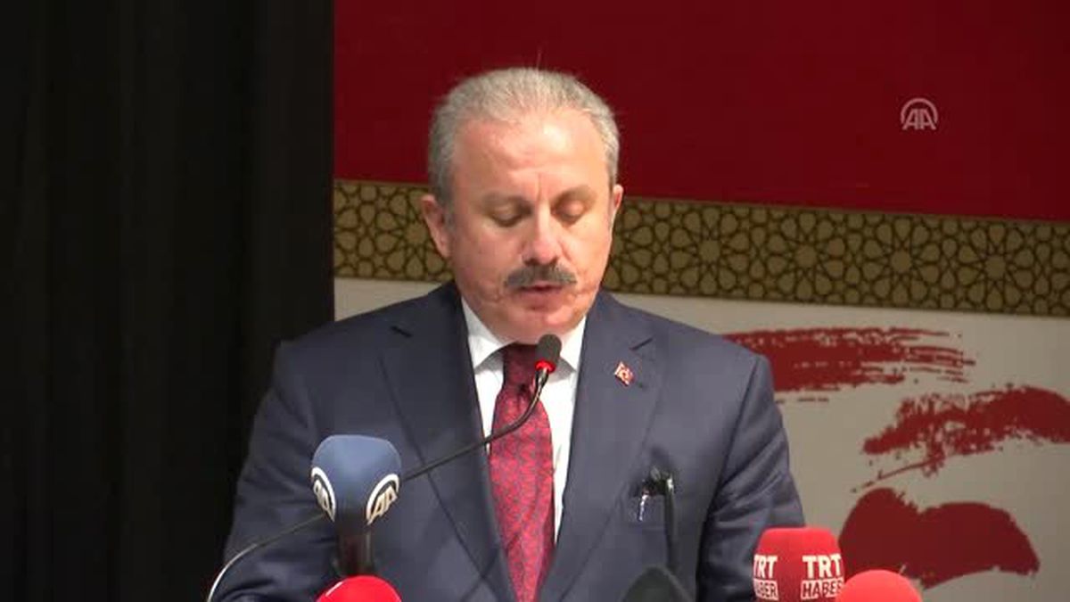 TBMM Başkanı Şentop: "Amasya Tamimi yeni milli meclisin temelinin atıldığı bir belgedir" - AMASYA