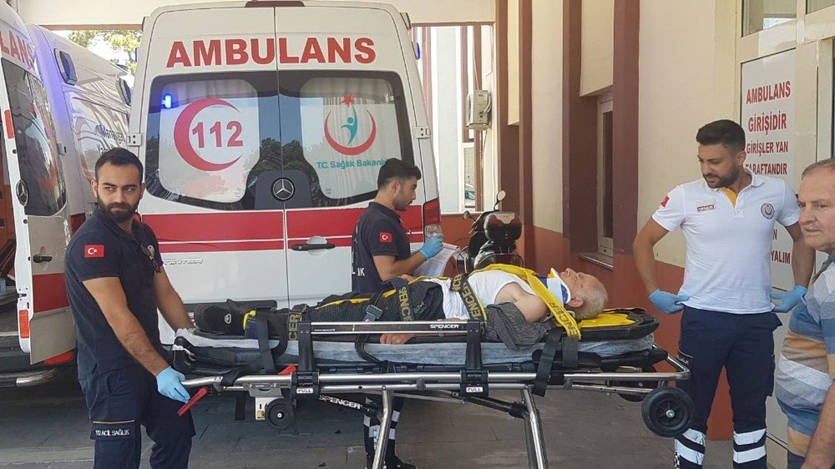 Antalya\'da erik ağacından düşen yaşlı şahıs yaralandı