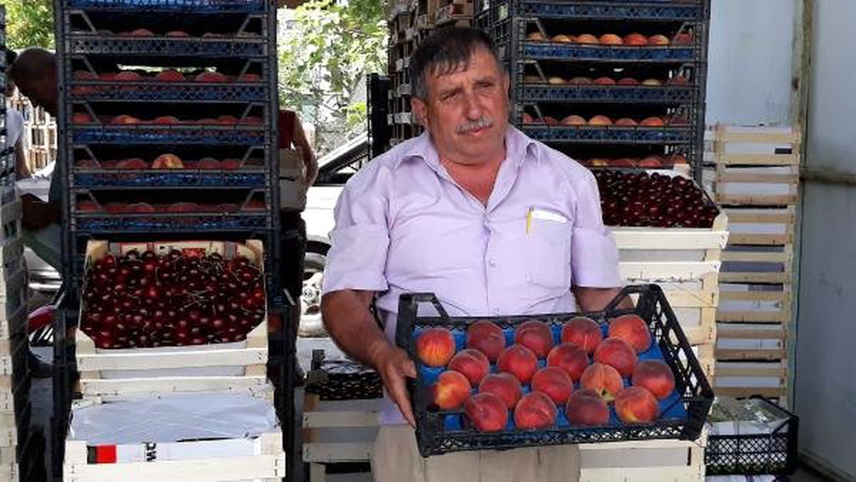 Lapseki\'de kirazla yüzü gülen üretici, şeftaliden de umutlu