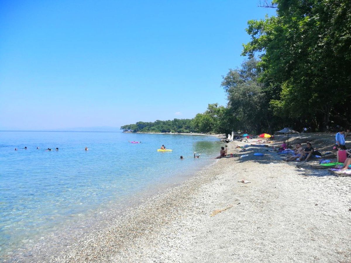 Milli parka seçim molası