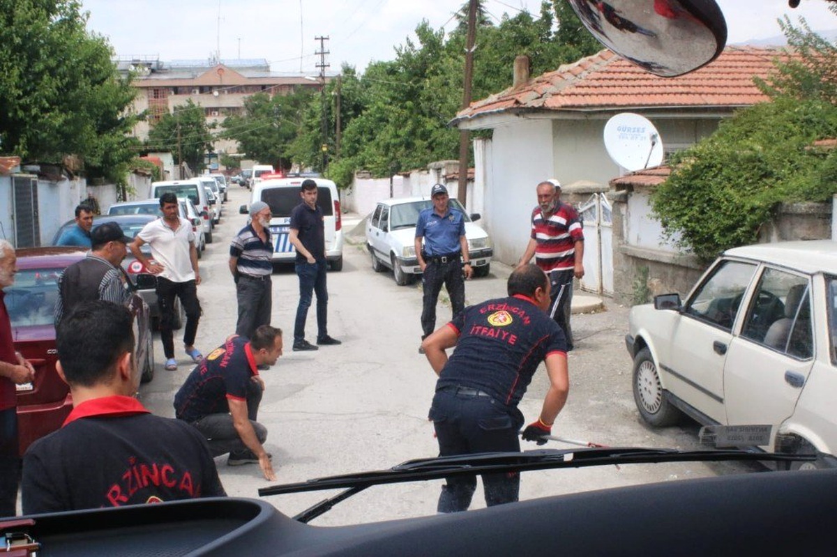 Otomobilin altına giren yılanı, itfaiye çıkardı