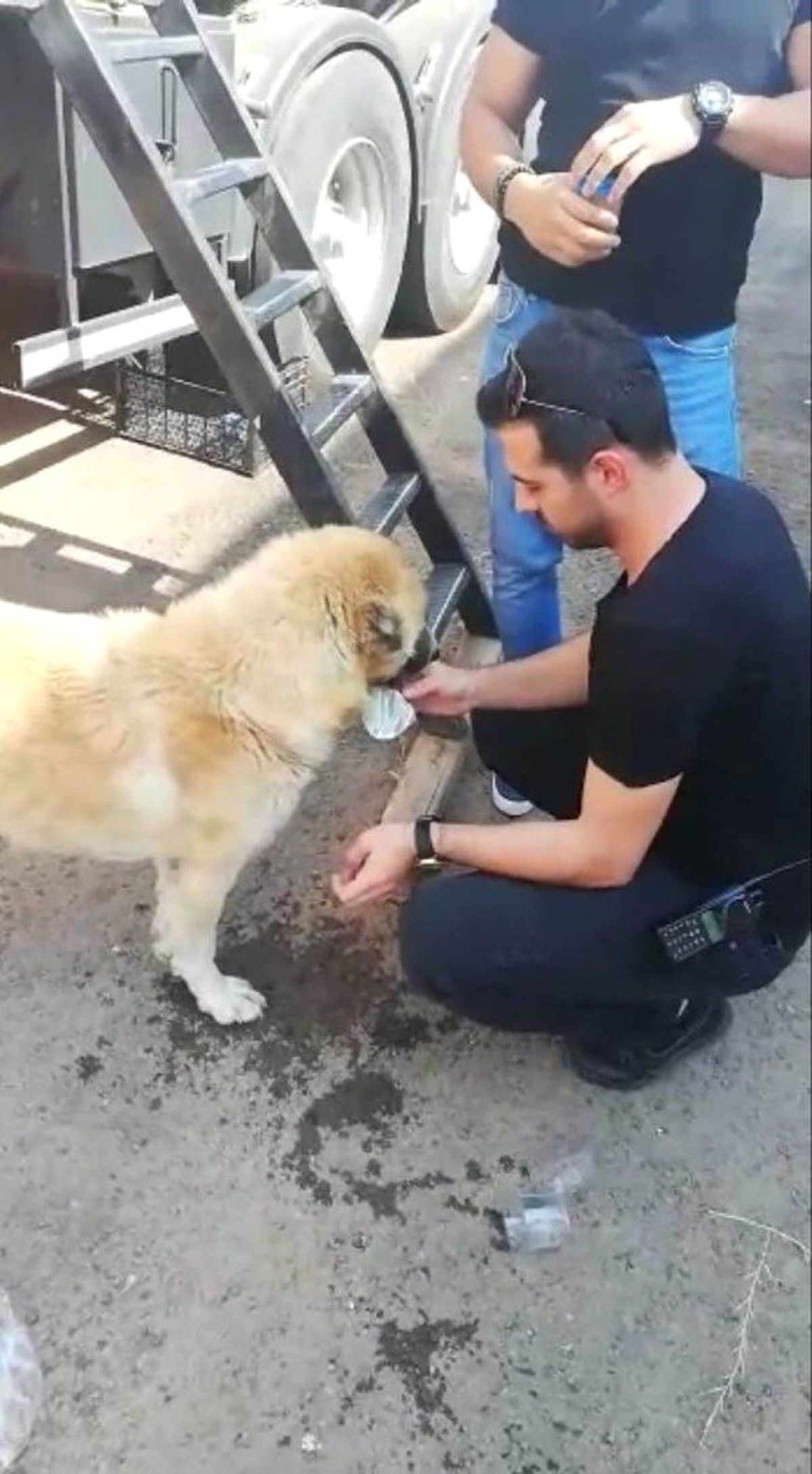 (Özel) Polis memurları susayan köpeğe elleriyle su verdi