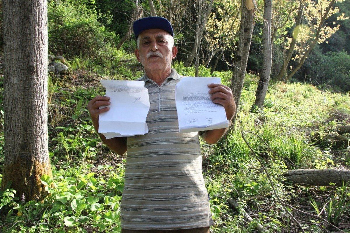 (Özel) Tapulu arazisine 40 yıl önce diktiği kavak ağaçlarına, orman arazisi diye el konuldu