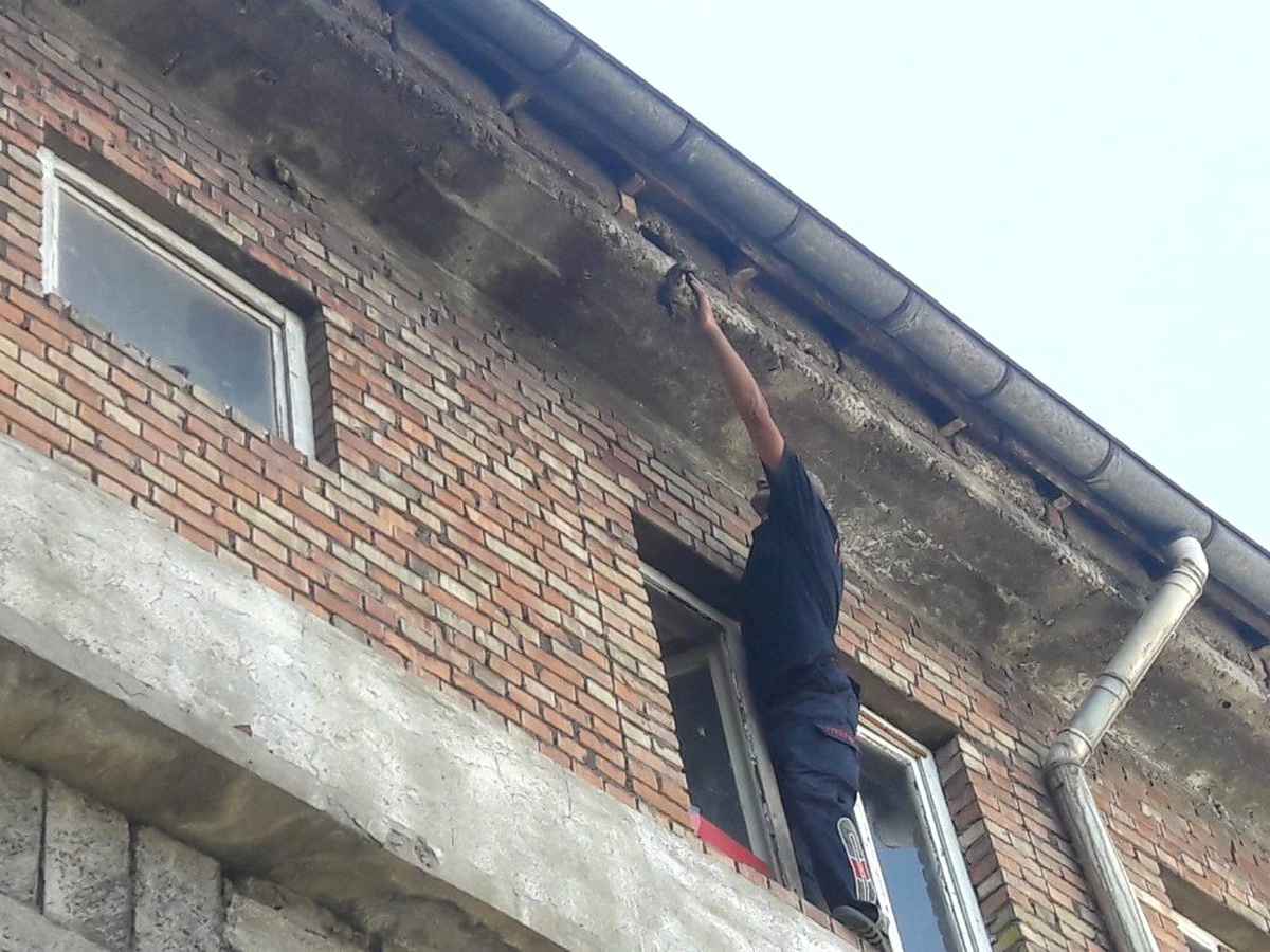 Yavru kargayı kurtarmaya çalışan itfaiye ekipleri anne karganın saldırısına uğradı