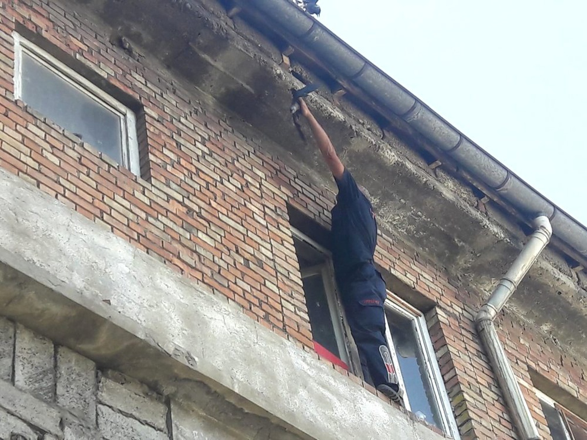 Yavru kargayı kurtarmaya çalışan itfaiye ekipleri anne karganın saldırısına uğradı