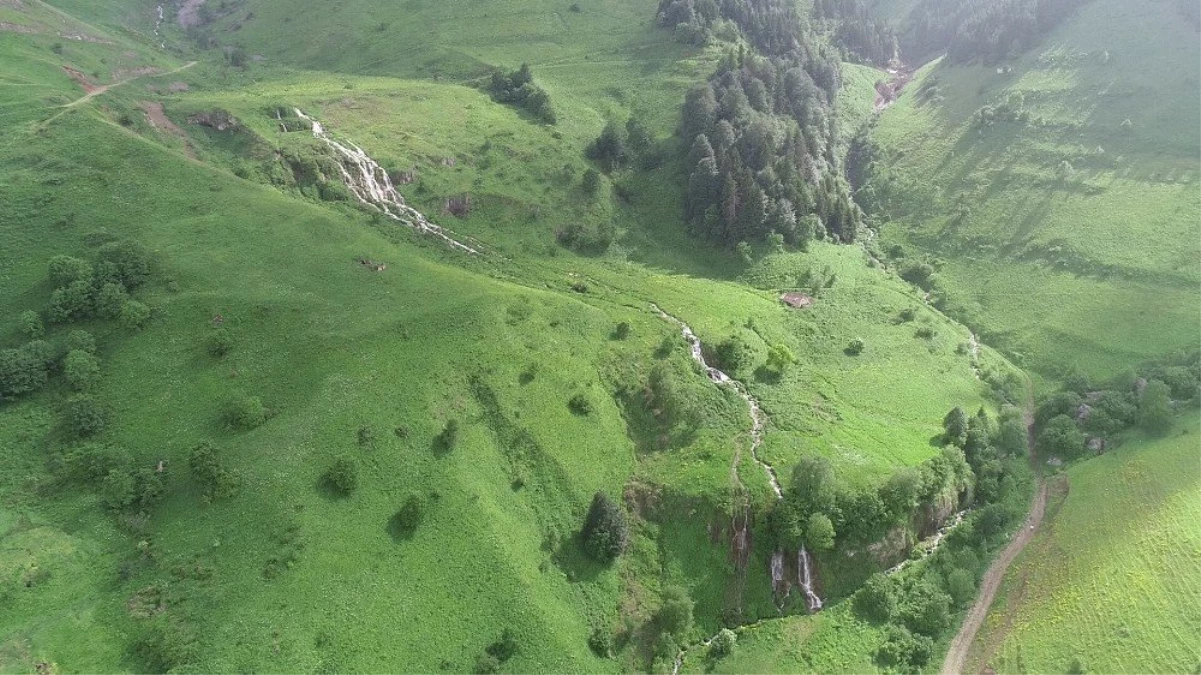 Bu şelaleleri görenler Trabzon\'da olduğuna inanamıyor