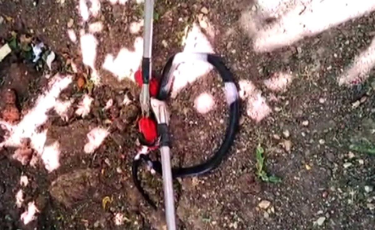 Evin bahçesindeki yılan yakalanarak doğaya bırakıldı