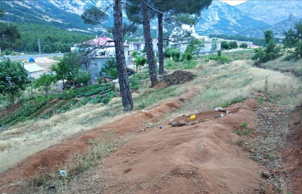 Evinin bahçesinde oynayan çocuğu akrep soktu