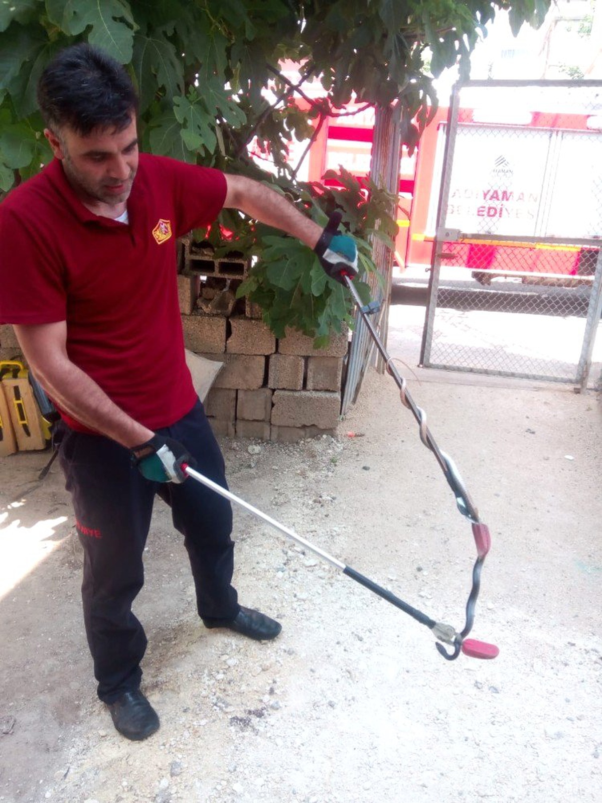 İkamette giren yılan paniğe neden oldu