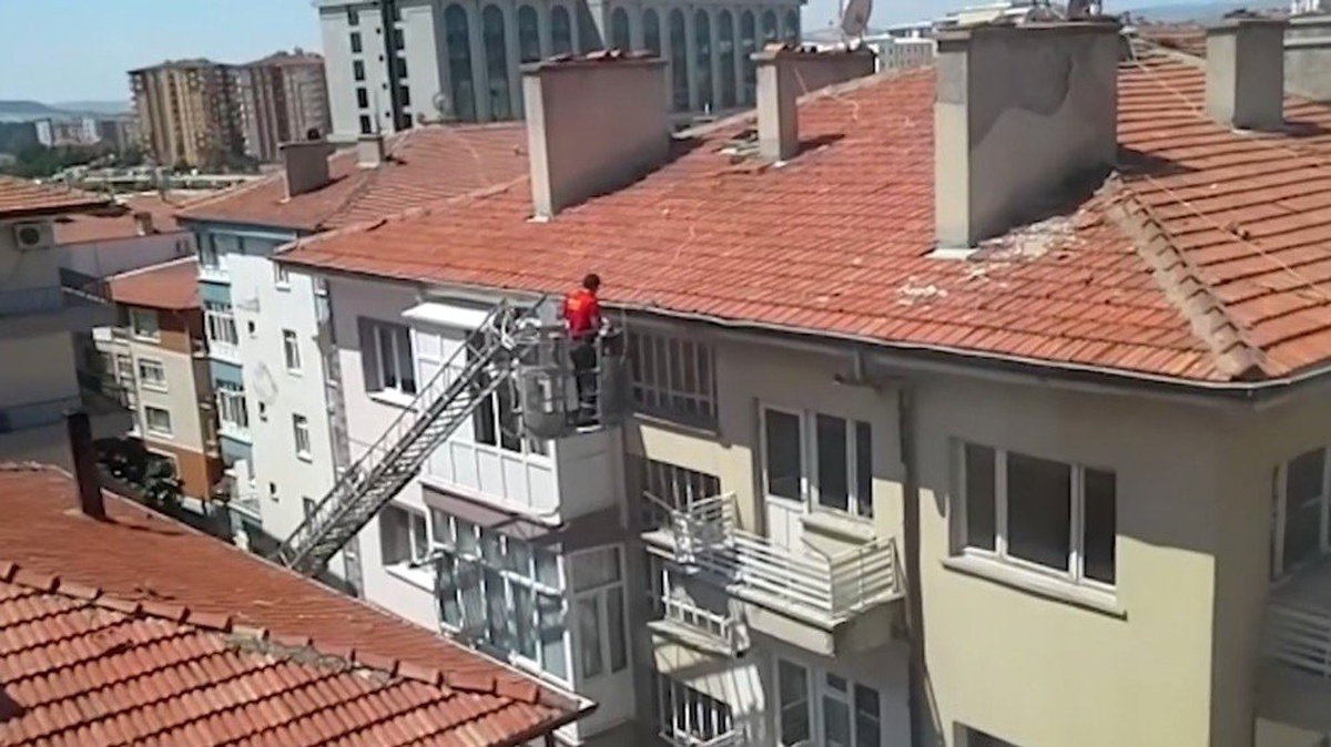 İtfaiye ekipleri güvercin ve yavru köpeğin imdadına koştu