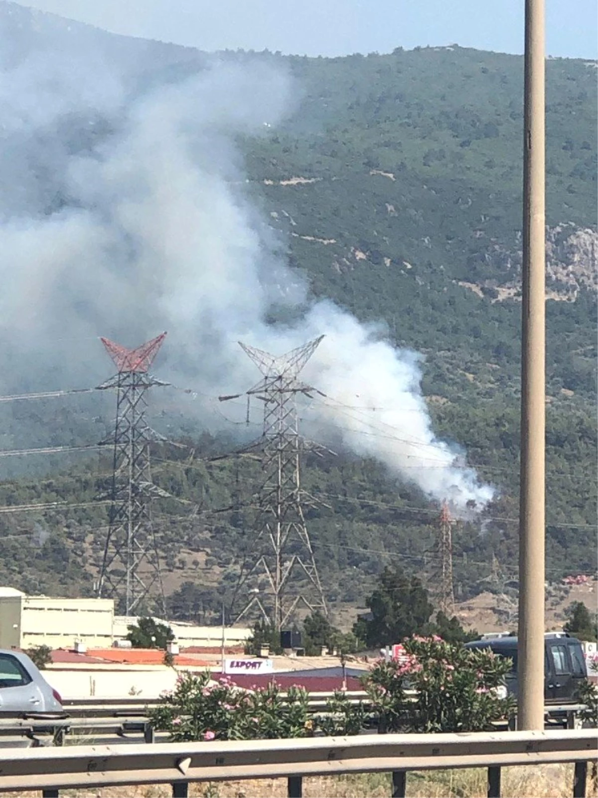 İzmir\'de ormanlık alanda yangın