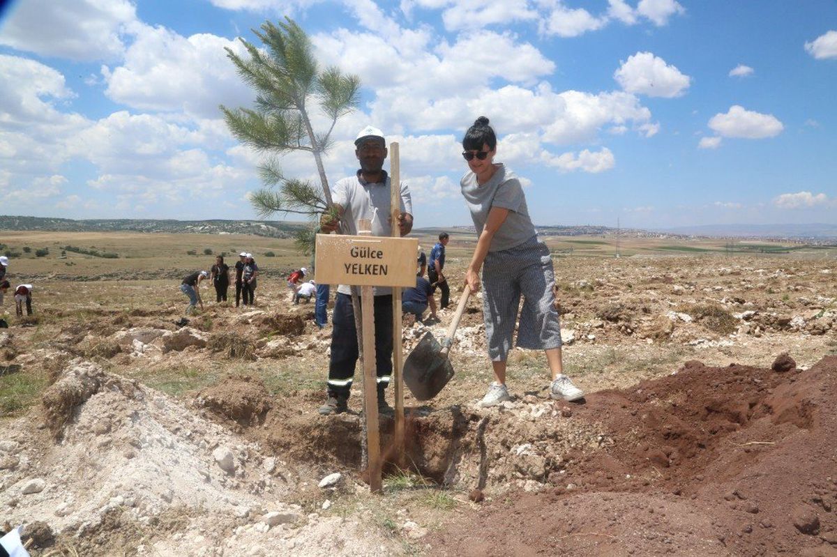 Odunpazarı bir orman daha kazandı