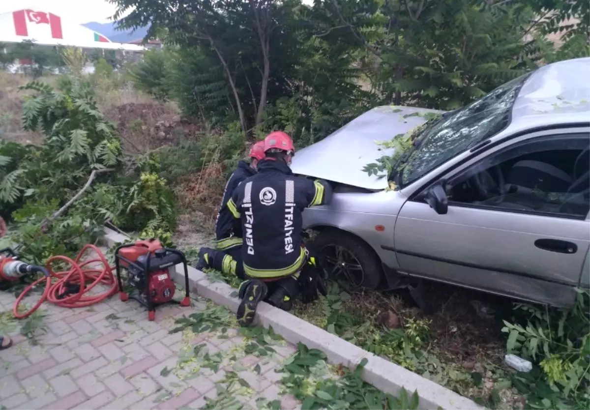 Refüje uçan otomobil ağaçları yerinden söktü: 1 yaralı