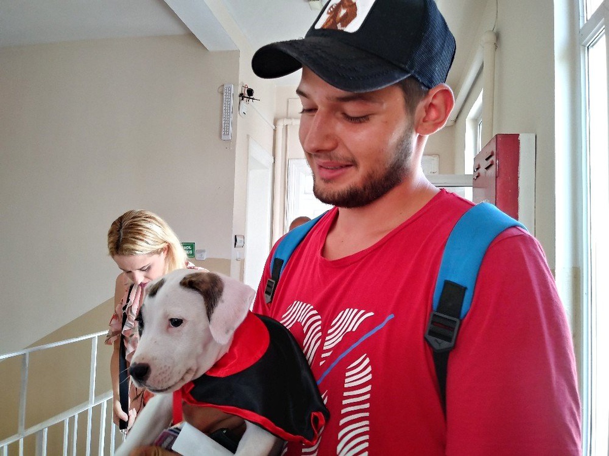Sarıyer\'de bir seçmen yavru köpeği ile oy kullandı