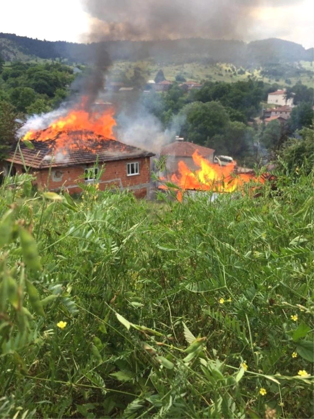 Sinop\'ta çıkan yangında 2 ev alevlere teslim oldu