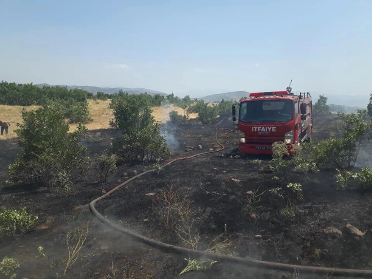 Bingöl\'de ormanlık alanda çıkan yangın söndürüldü