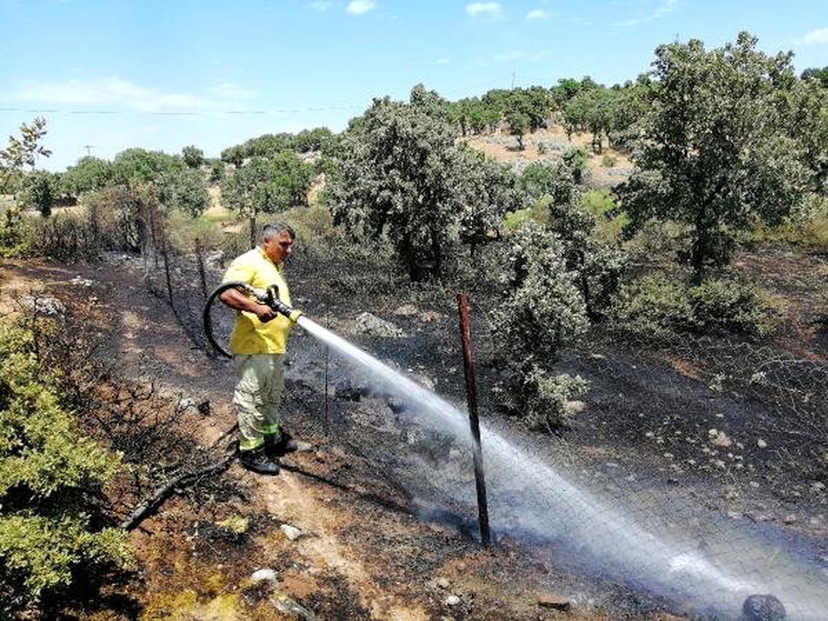 Çanakkale\'de, 6 dönüm makilik yandı