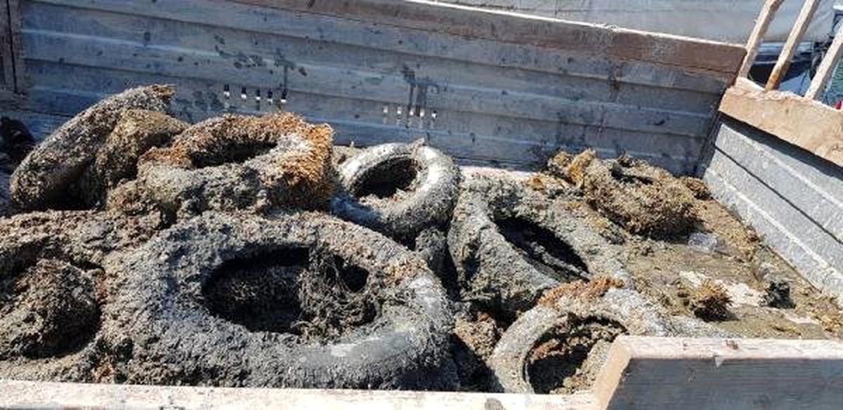 Dalyan Kanalı ve Köyceğiz Gölü\'nden 20 römork atık çıkarıldı