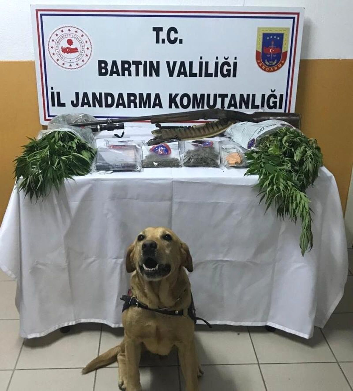 Jandarmadan uyuşturucu operasyonu