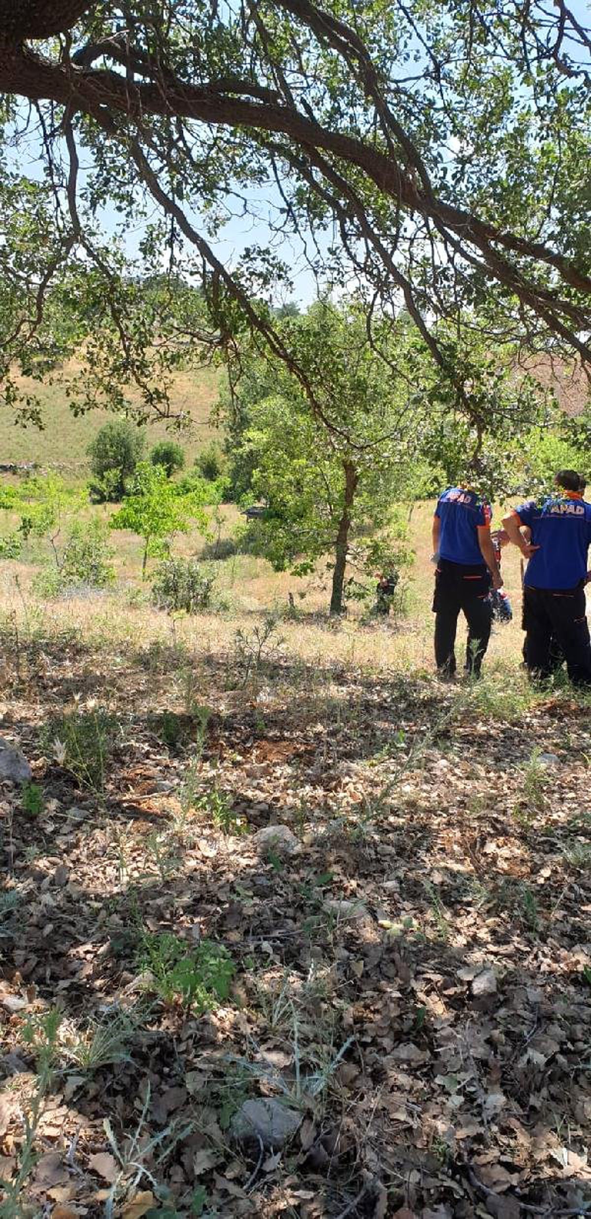 Kayıp çobanın cesedi dağlık alanda bulundu