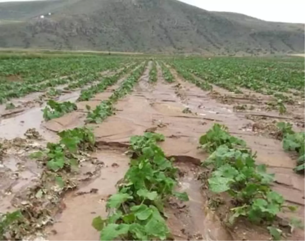 Nevşehir\'de 140 bin dekar tarım arazisi zarar gördü