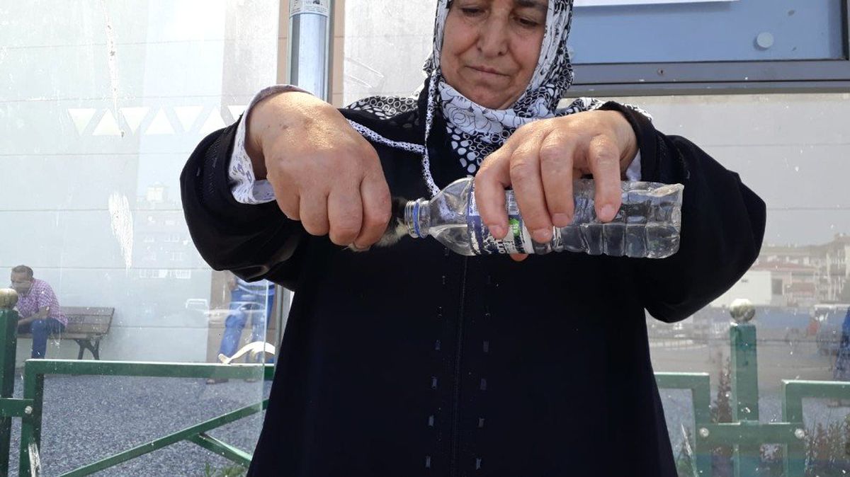 Sıcaktan bunalan civcivleri elindeki pet şişe su ile serinletti
