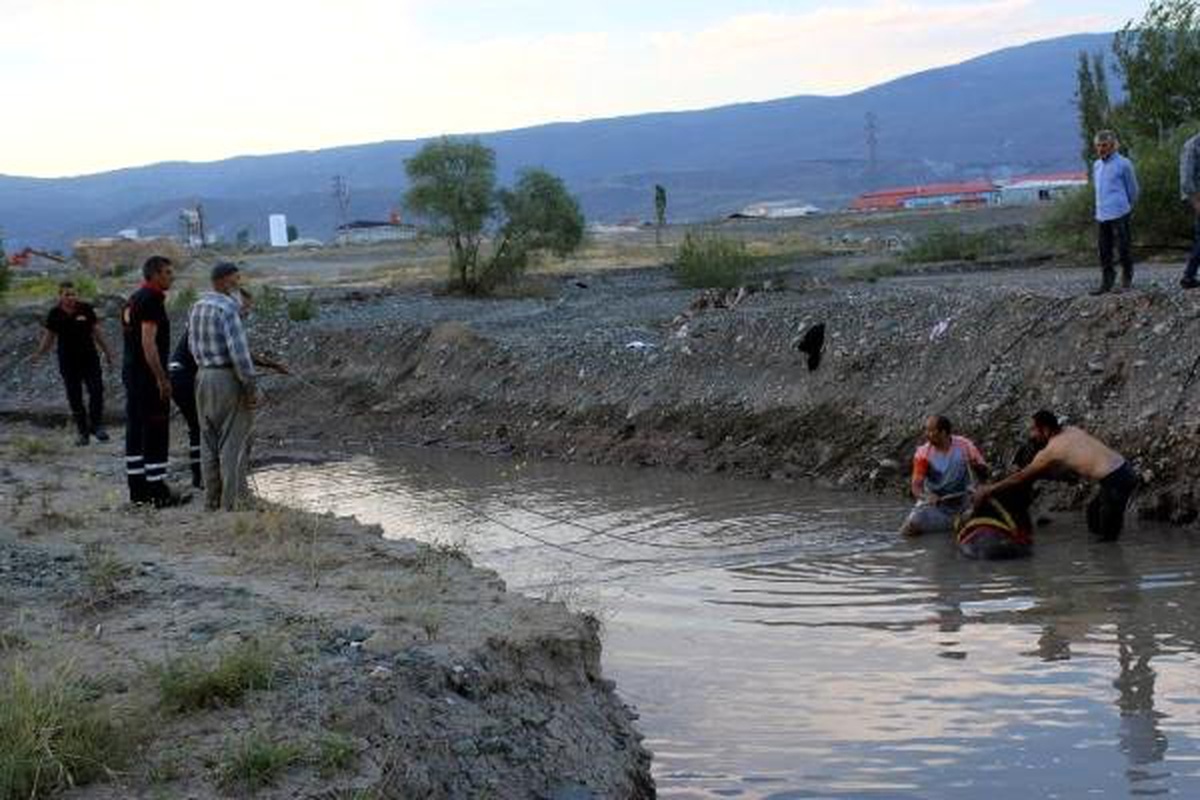 Sulama kanalına düşen atı itfaiye kurtardı