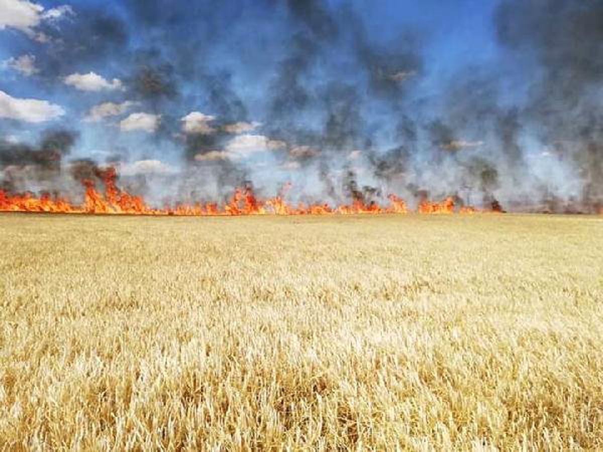Aksaray\'da 300 dönüm tarım arazisi yandı
