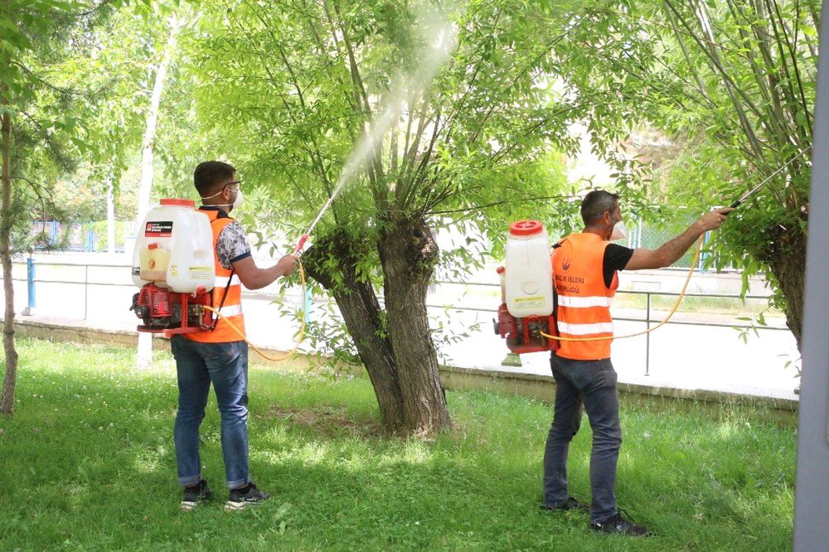 Aziziye\'de haşerelere geçit yok