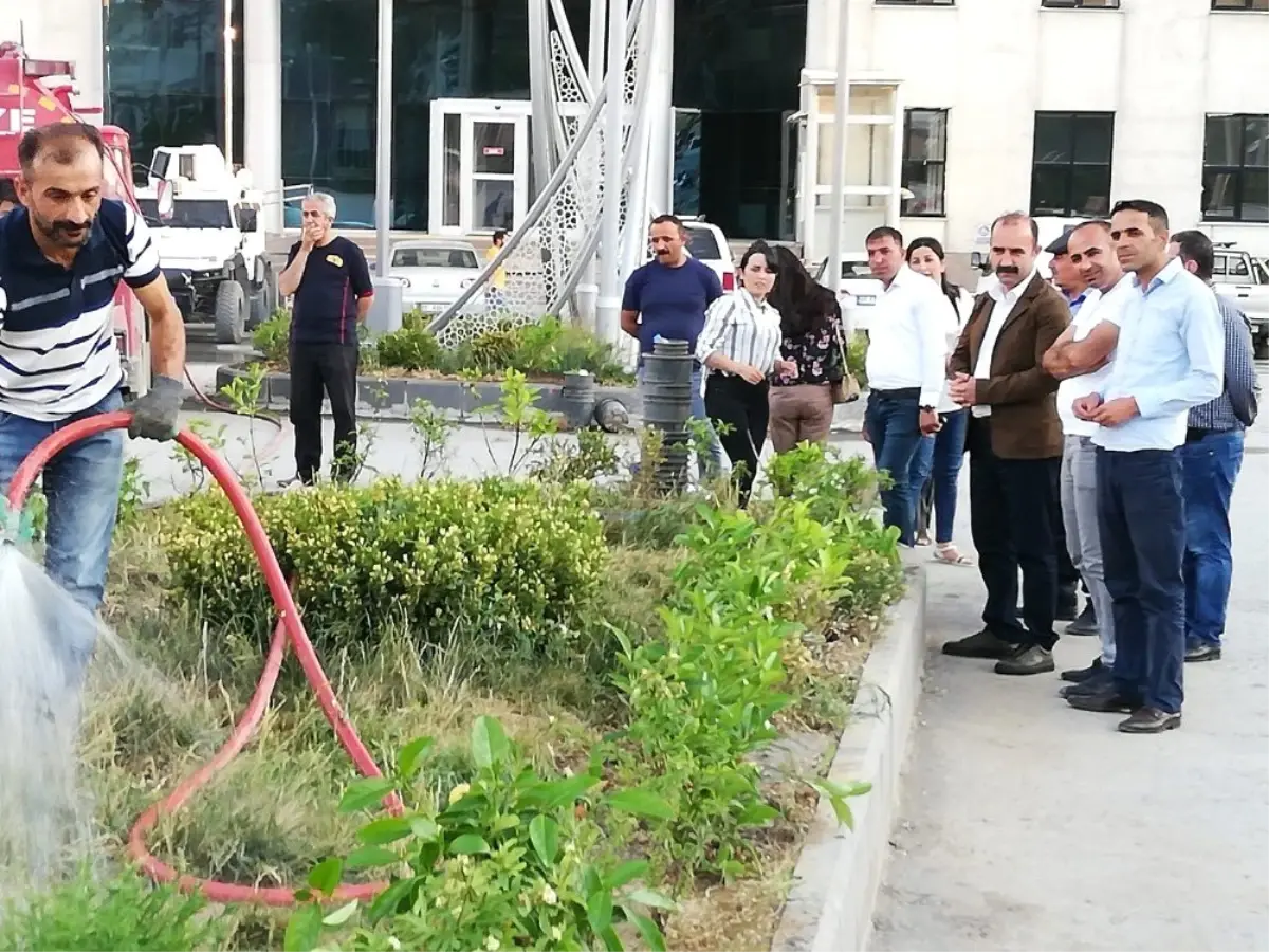 Belediye encümenleri caddeleri yeşillendirdi