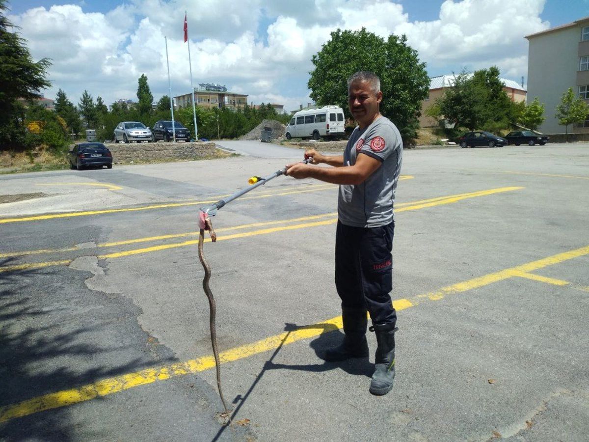 Bodruma giren yılan itfaiye ekiplerince çıkarıldı