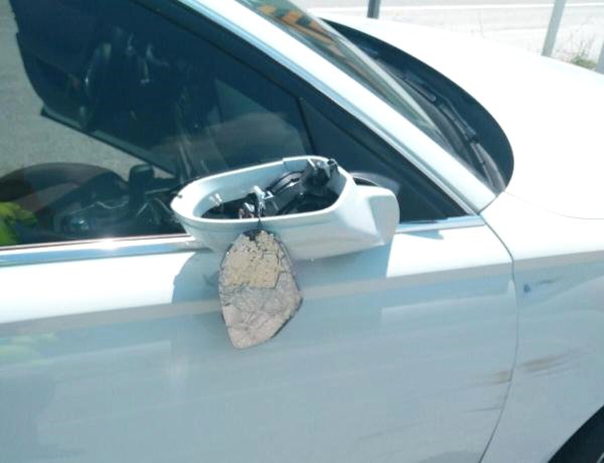Camiye giderken otomobilin çarpmasıyla öldü