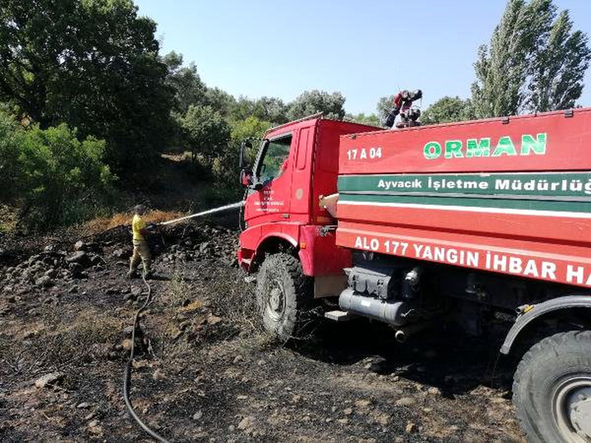 Çanakkale\'de zeytinlik yangını