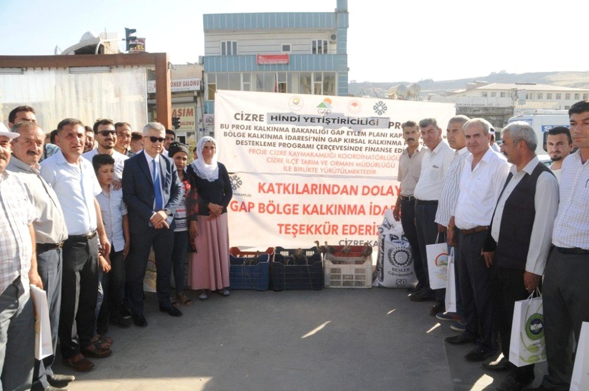 Cizre\'de çiftçilere 10 bin adet hindi palazı ve 60 ton yem dağıtıldı