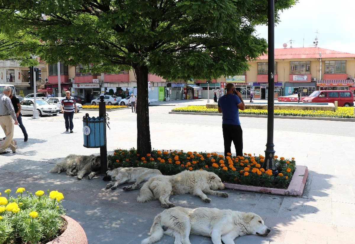 Doğu\'da sıcaklık artıyor