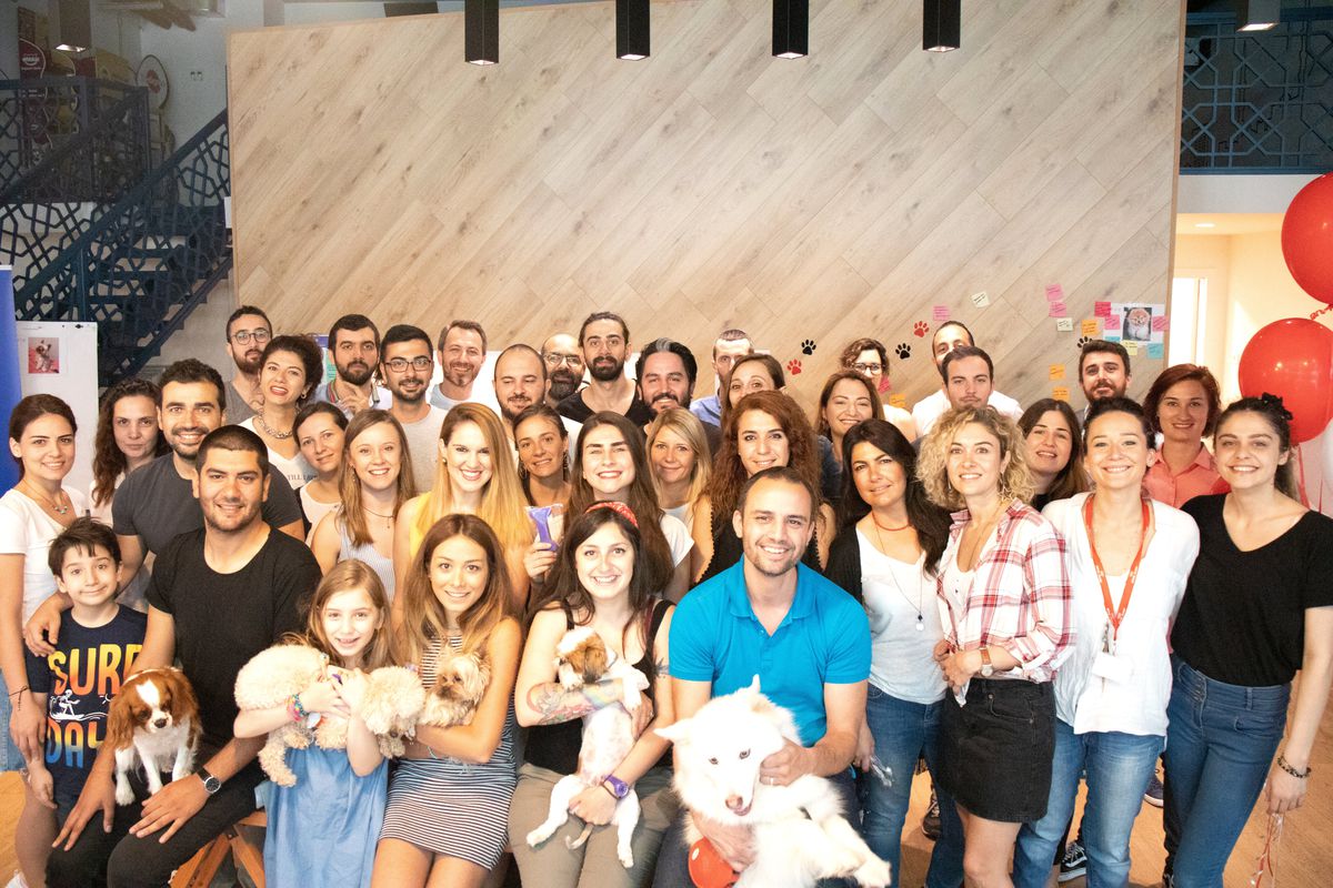 Evcil Hayvanlar iş başında!