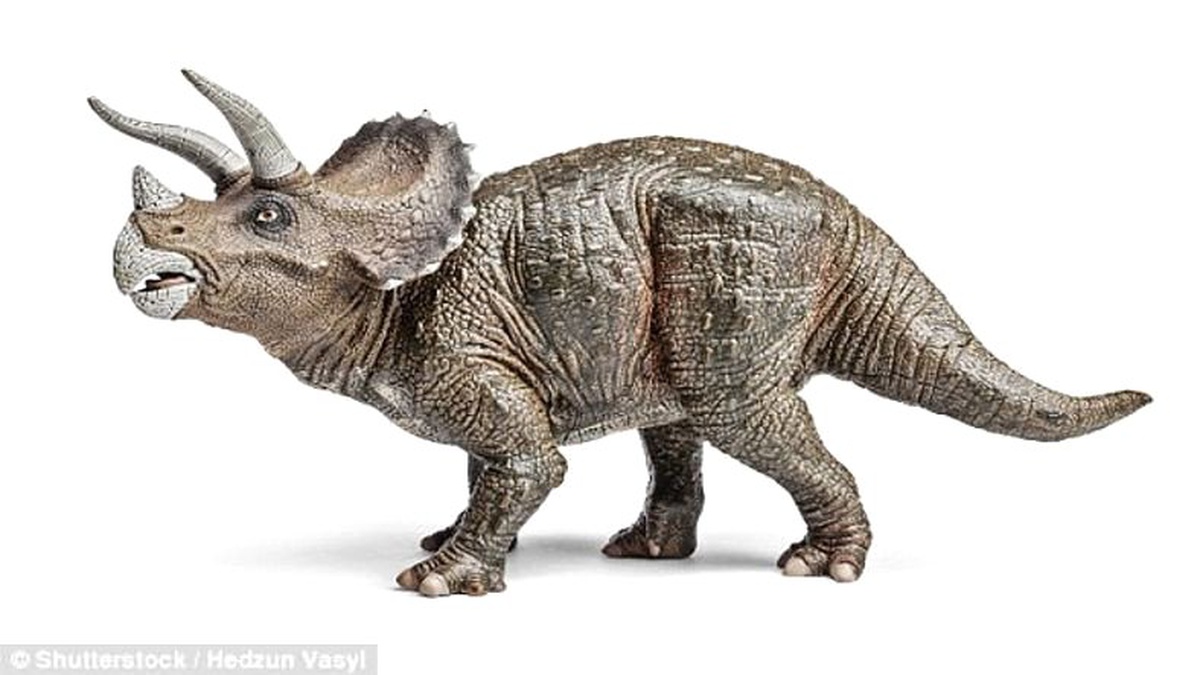 İnşaat Kazısında Milyonlarca Yıllık Dinozor Kemikleri Bulundu