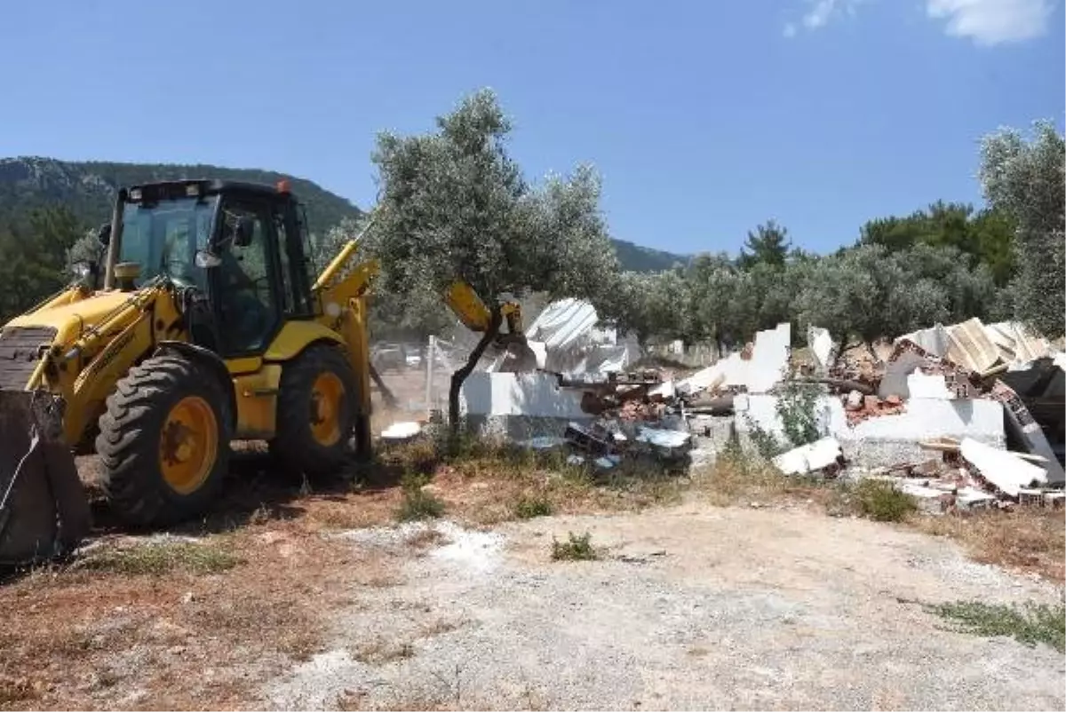 İzmir\'in akciğerlerindeki ruhsatsız yapılarla mücadele sürüyor