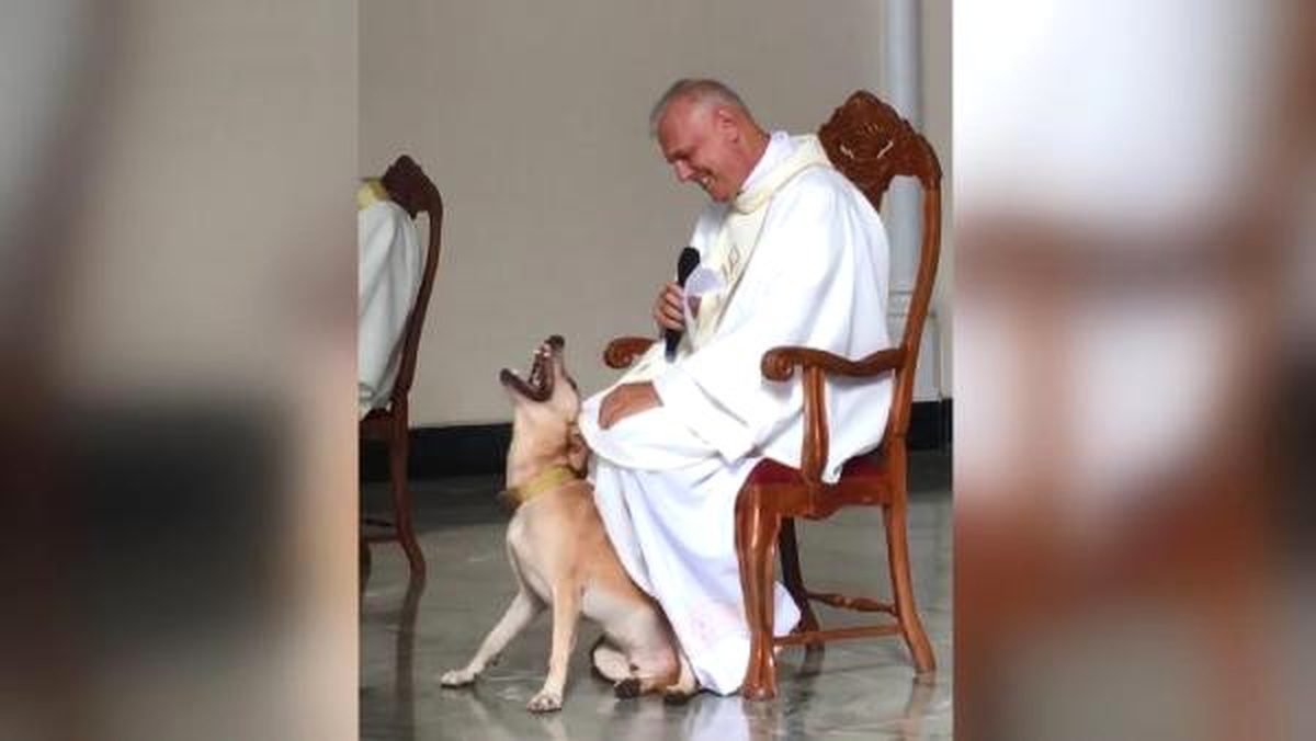 Kilisede ayin sırasında oyun oynamak isteyen köpek kamerada