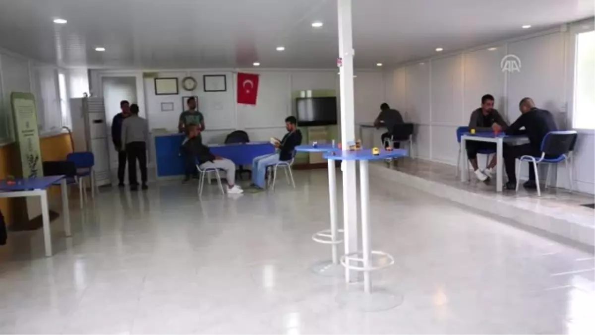 Madde bağımlılarına zeytinlikler arasında "ilaçsız" rehabilitasyon