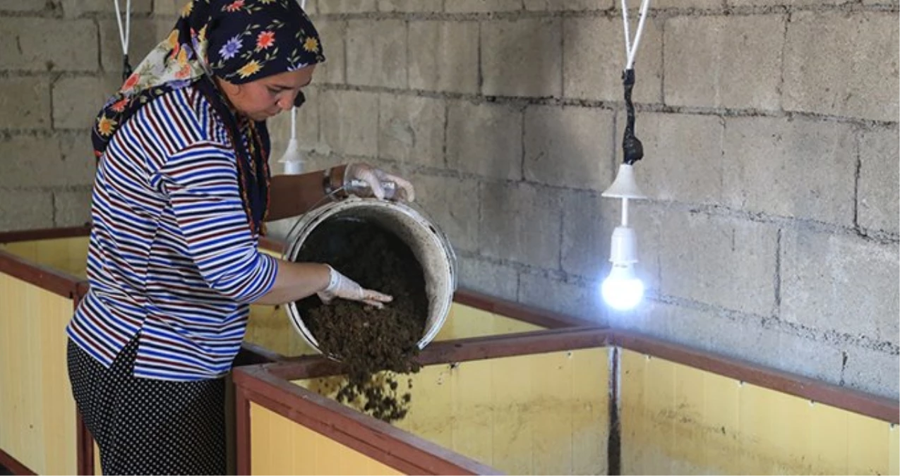 Solucan gübresi üretimi yapan kadın girimci ayda 3 bin lira kazanıyor